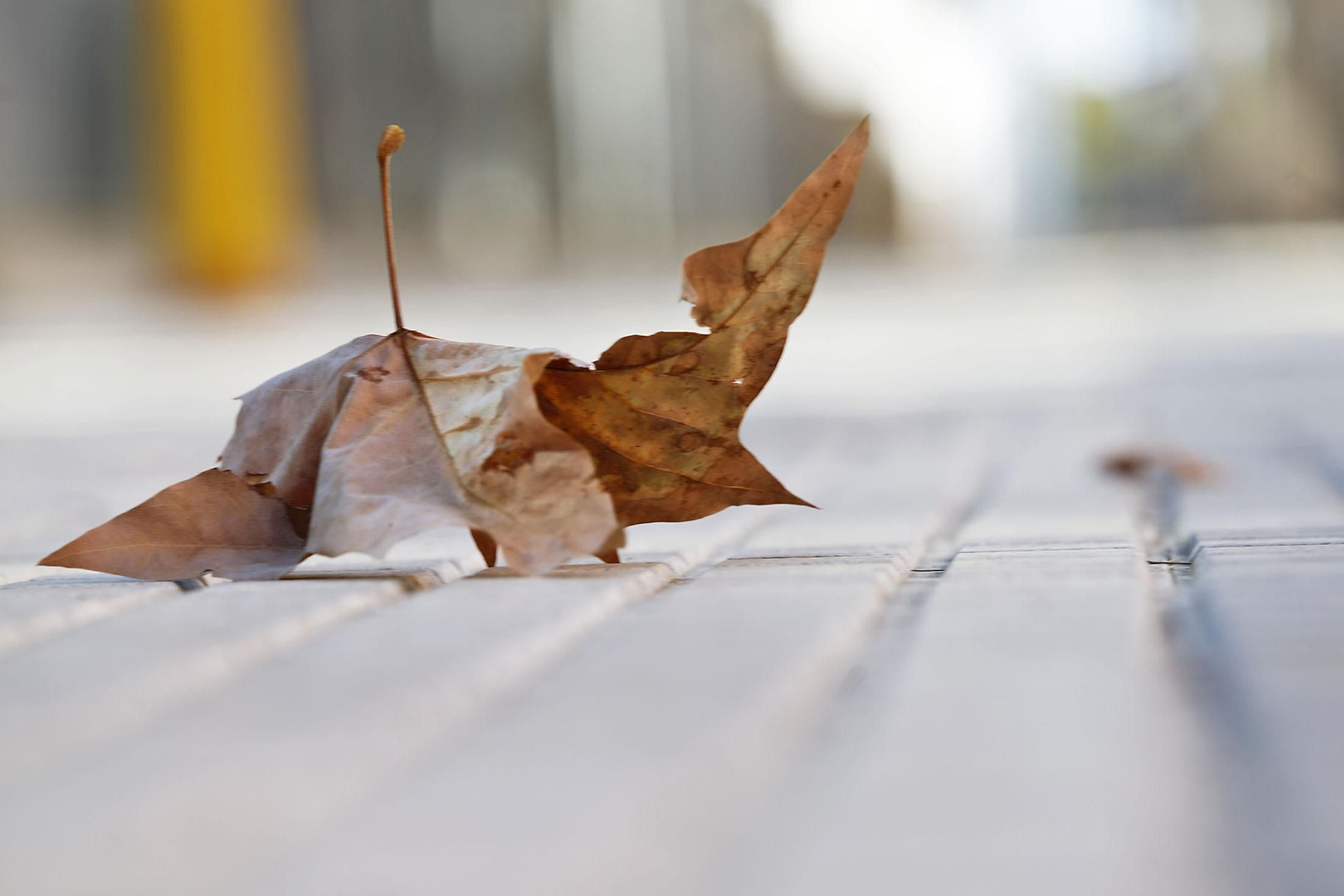 Las imágenes más destacadas del miércoles 4 de octubre en Huelva