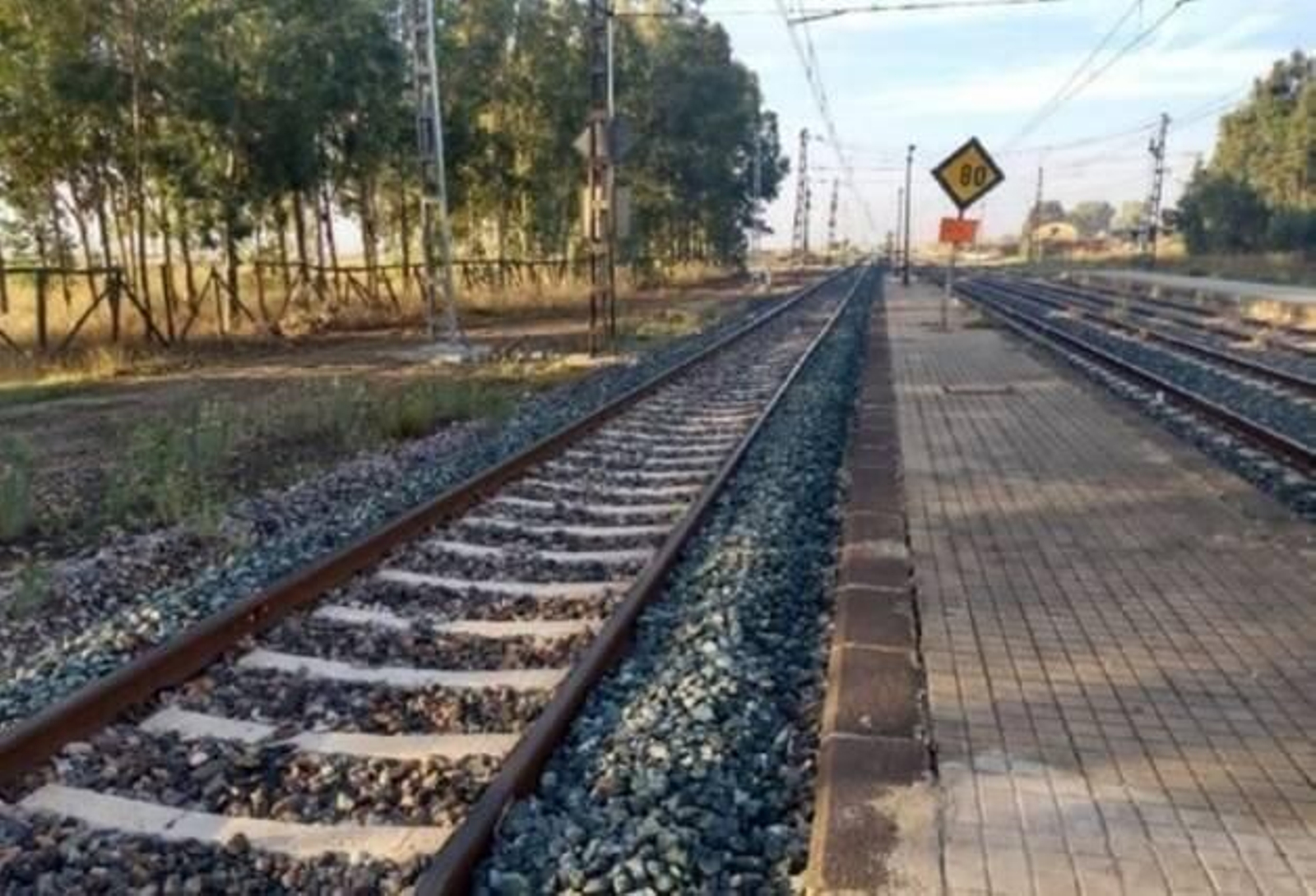 Zona de actuación