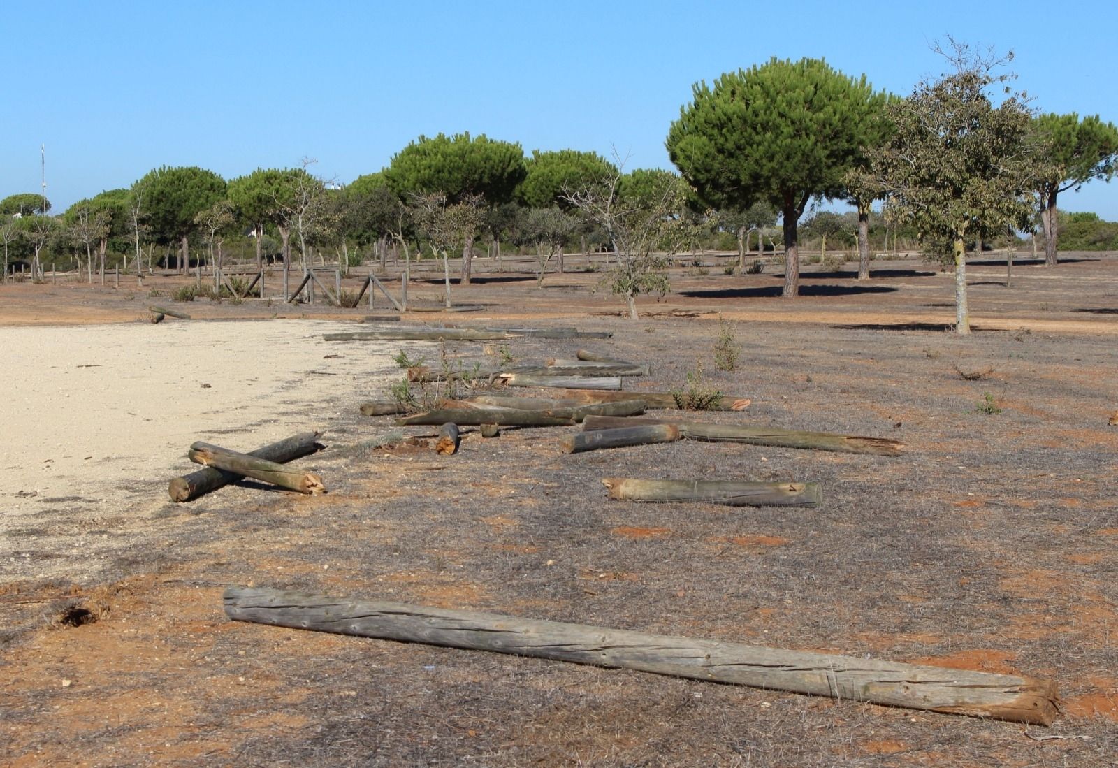 Estado en el que ha quedado parte del vallado que ha sido objeto de los destrozos.