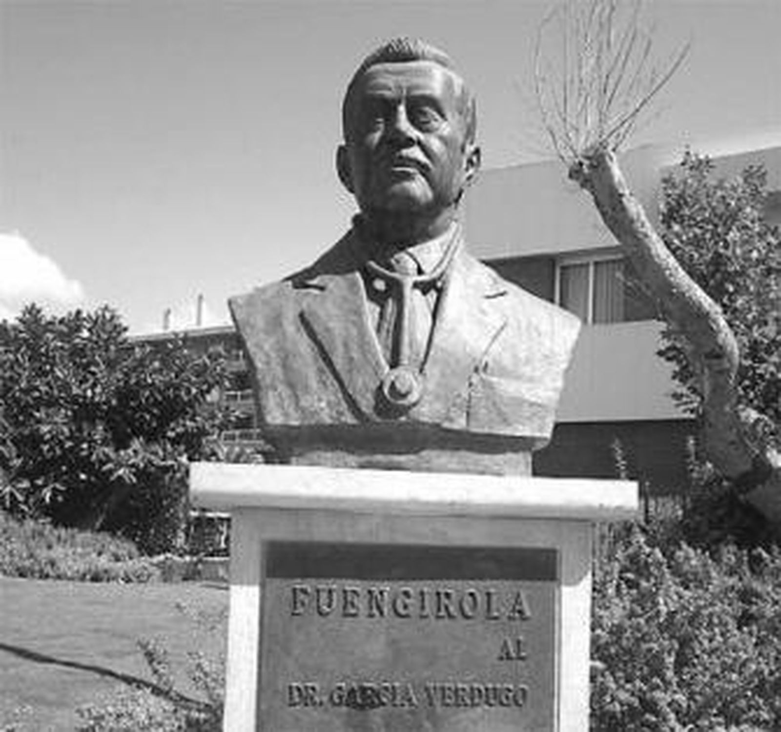 Busto del doctor García Verdugo.