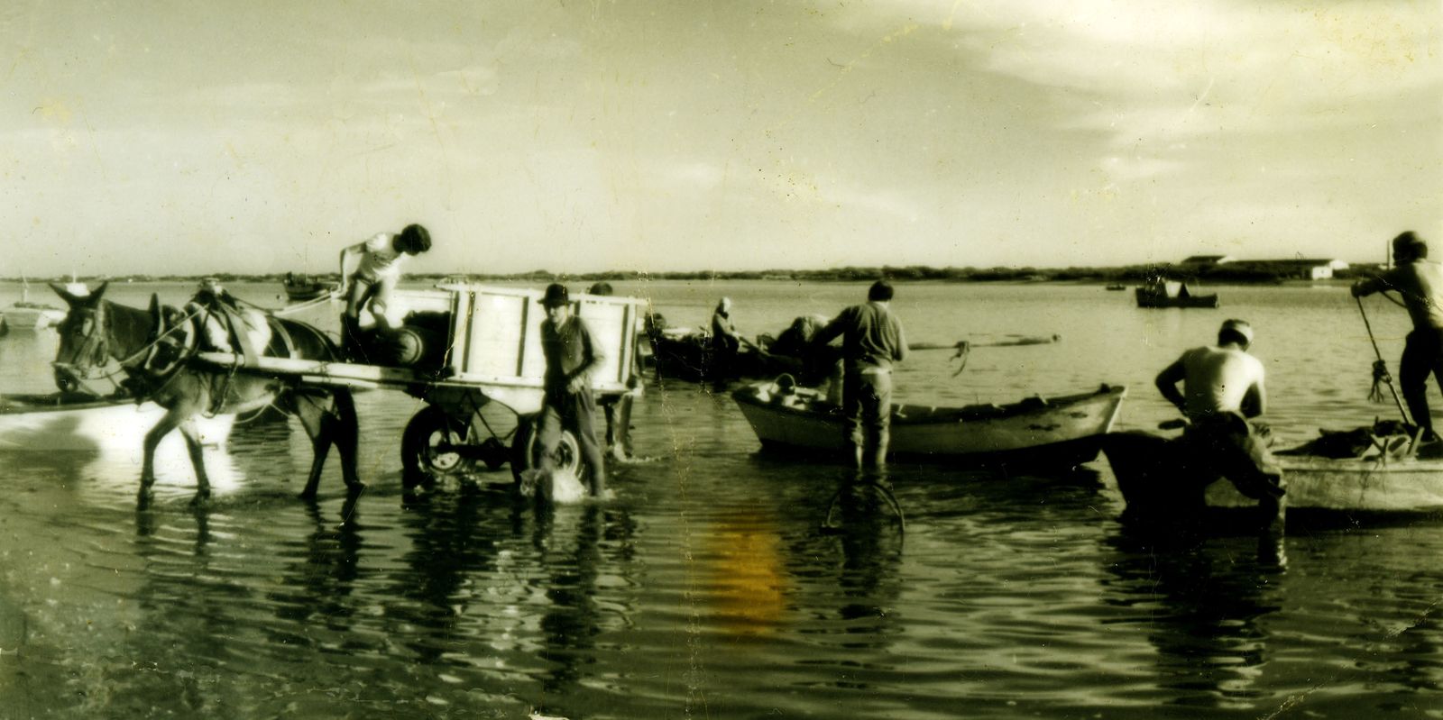 Un grupo de pescadores descargando verdigones en carros tirados por caballos