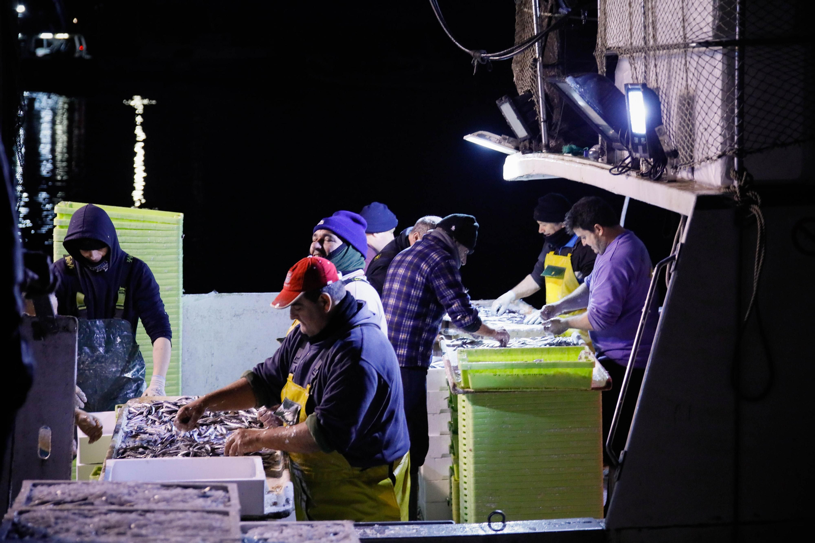 Te contamos en imágenes como ha sido la descarga de las traiñas en la lonja de Almería