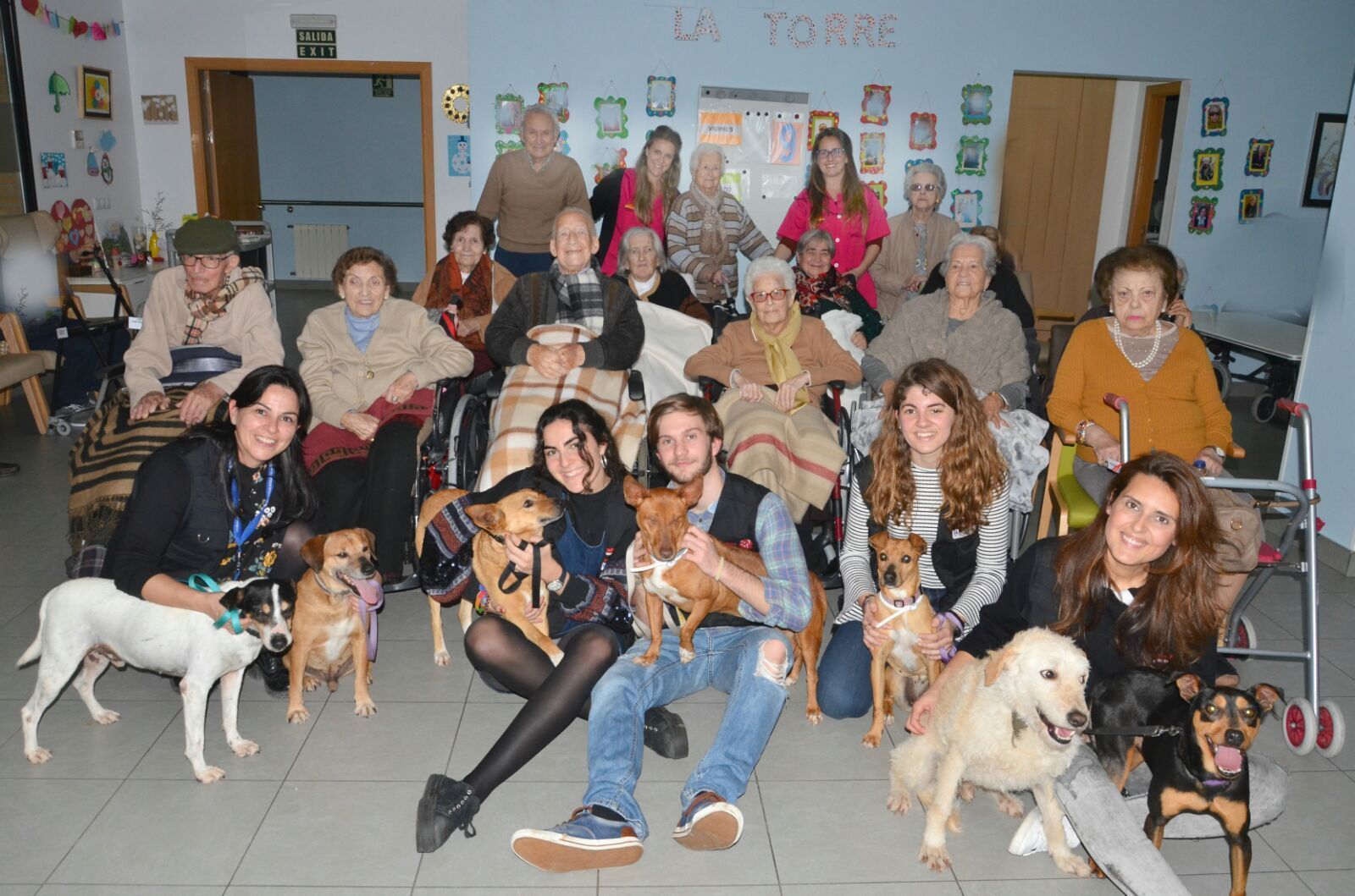 Terapia con animales para los mayores