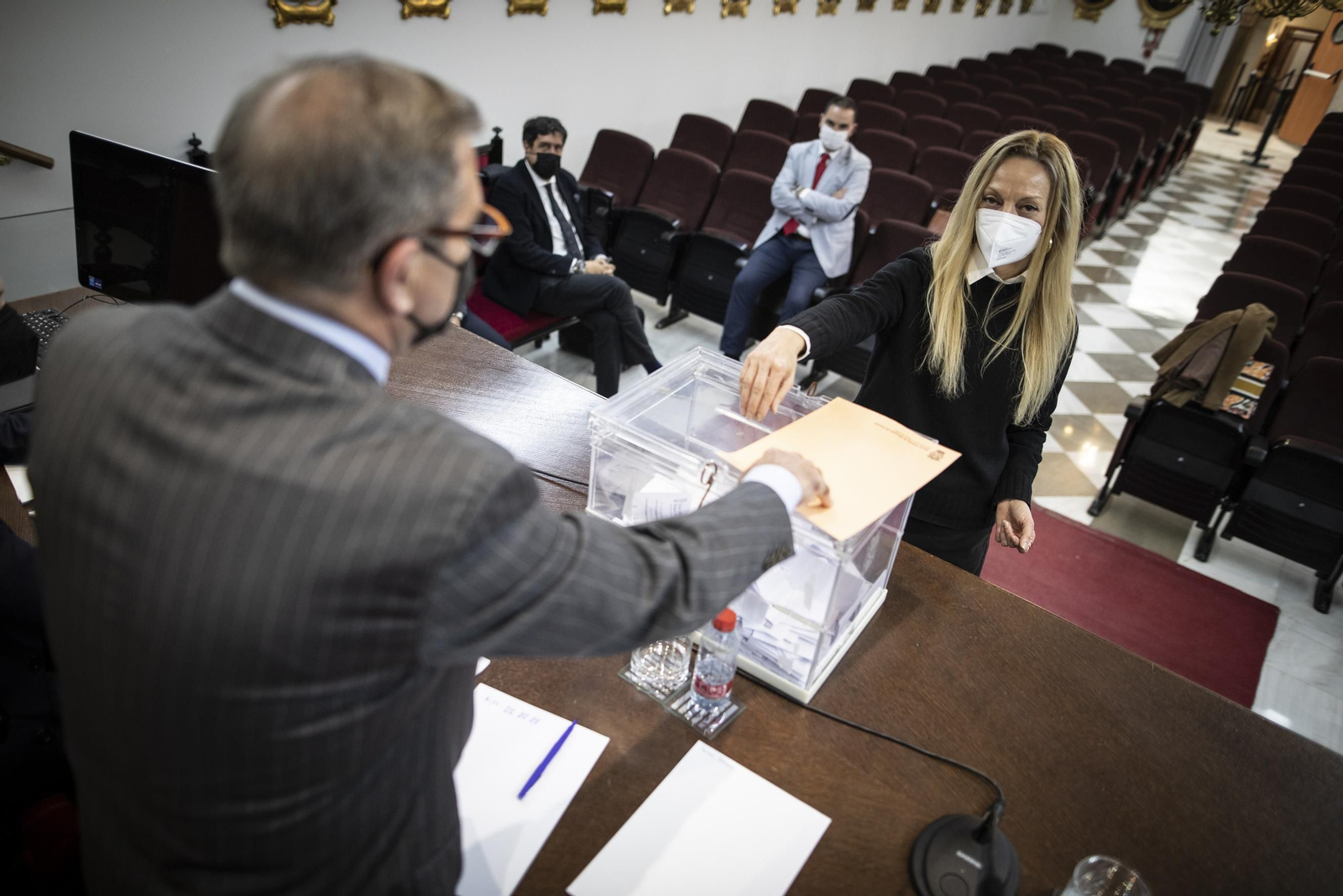 Así ha sido la votación del cambio de denominación en el Colegio de Abogados de Granada