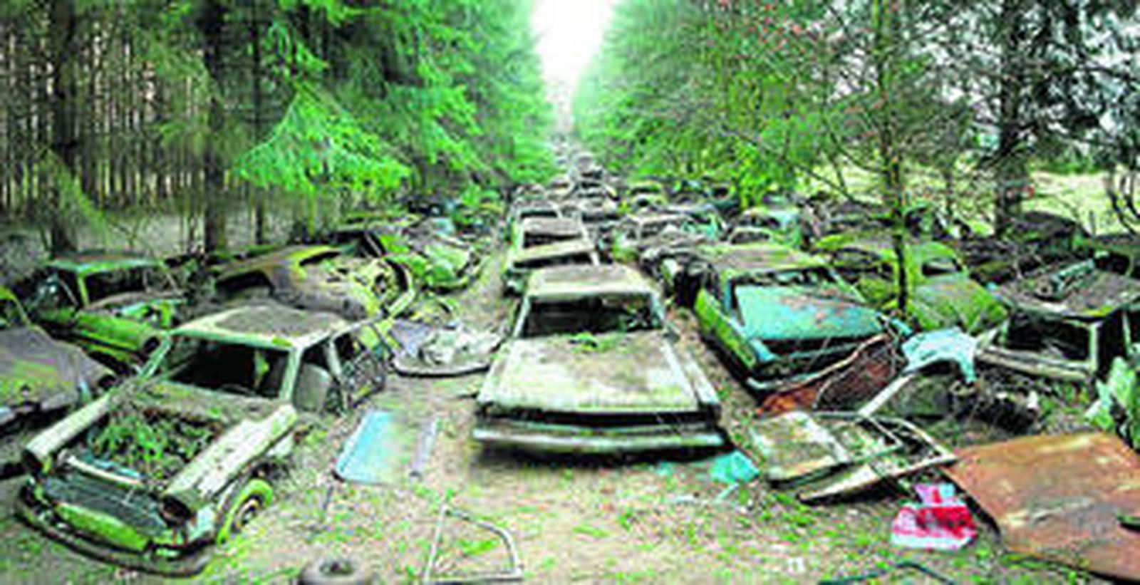 Imagen de uno de los paisajes que se observan en el corto 'The last passenger', el cementerio de coches en el bosque de las Ardenas.