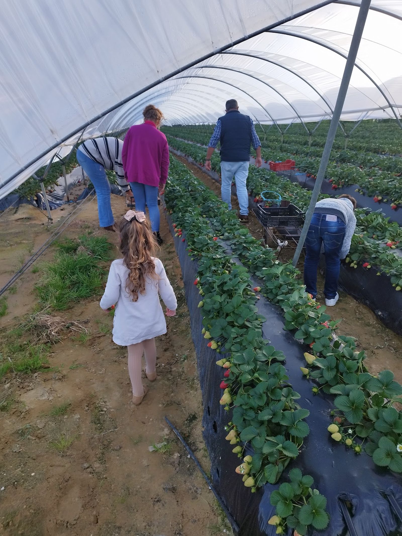 La pequeña Valeria en una imagen antes de ser diagnosticada.