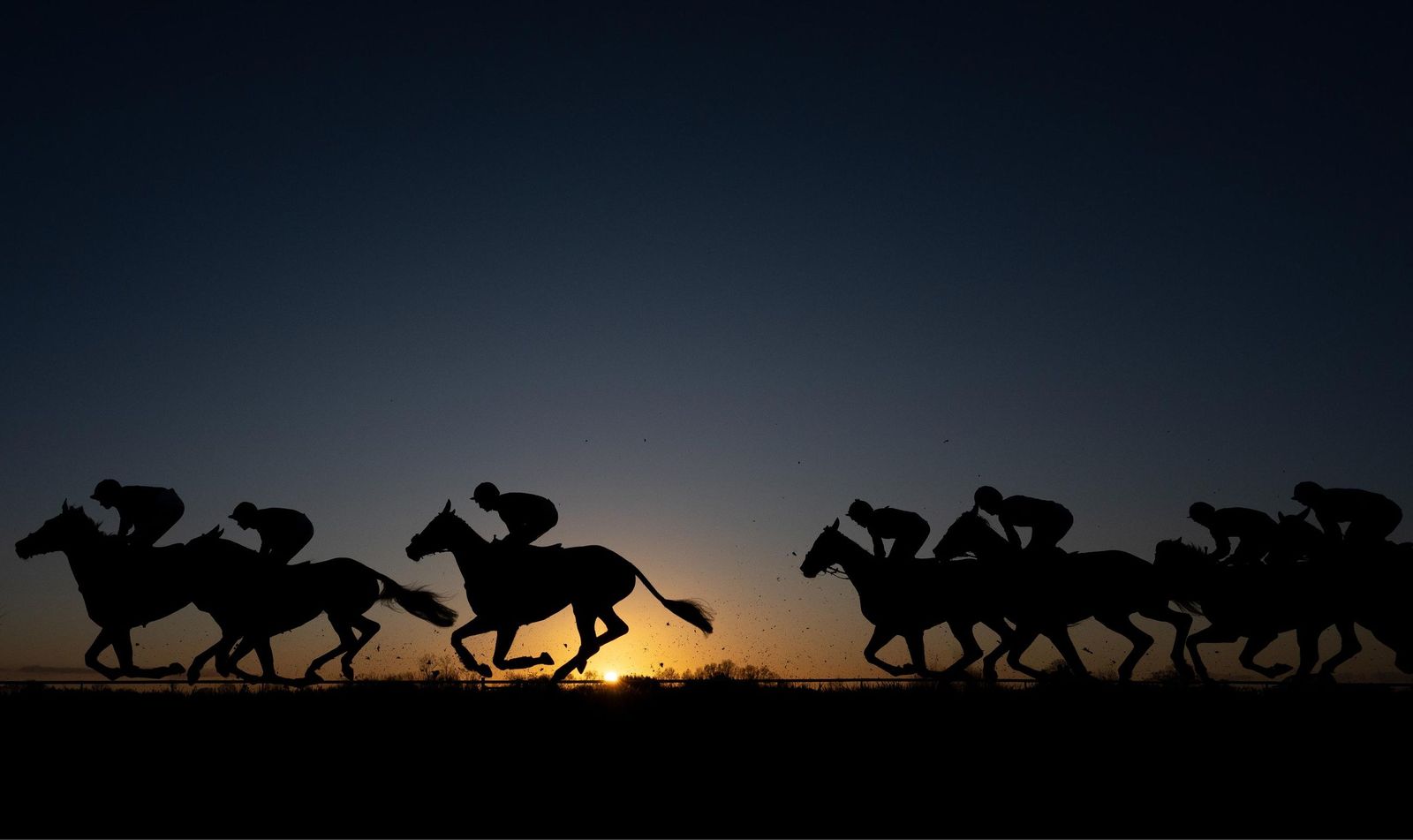 Deportes hípicos | Sunset