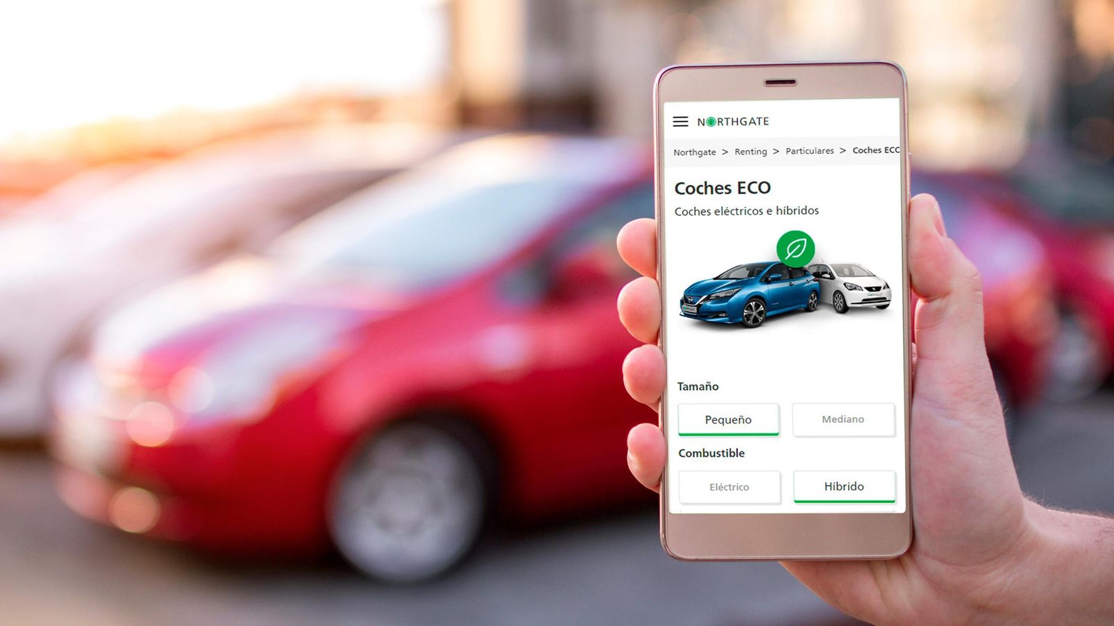 Cada vez más pymes y autónomos apuestan por la fórmula del renting flexible de vehículos