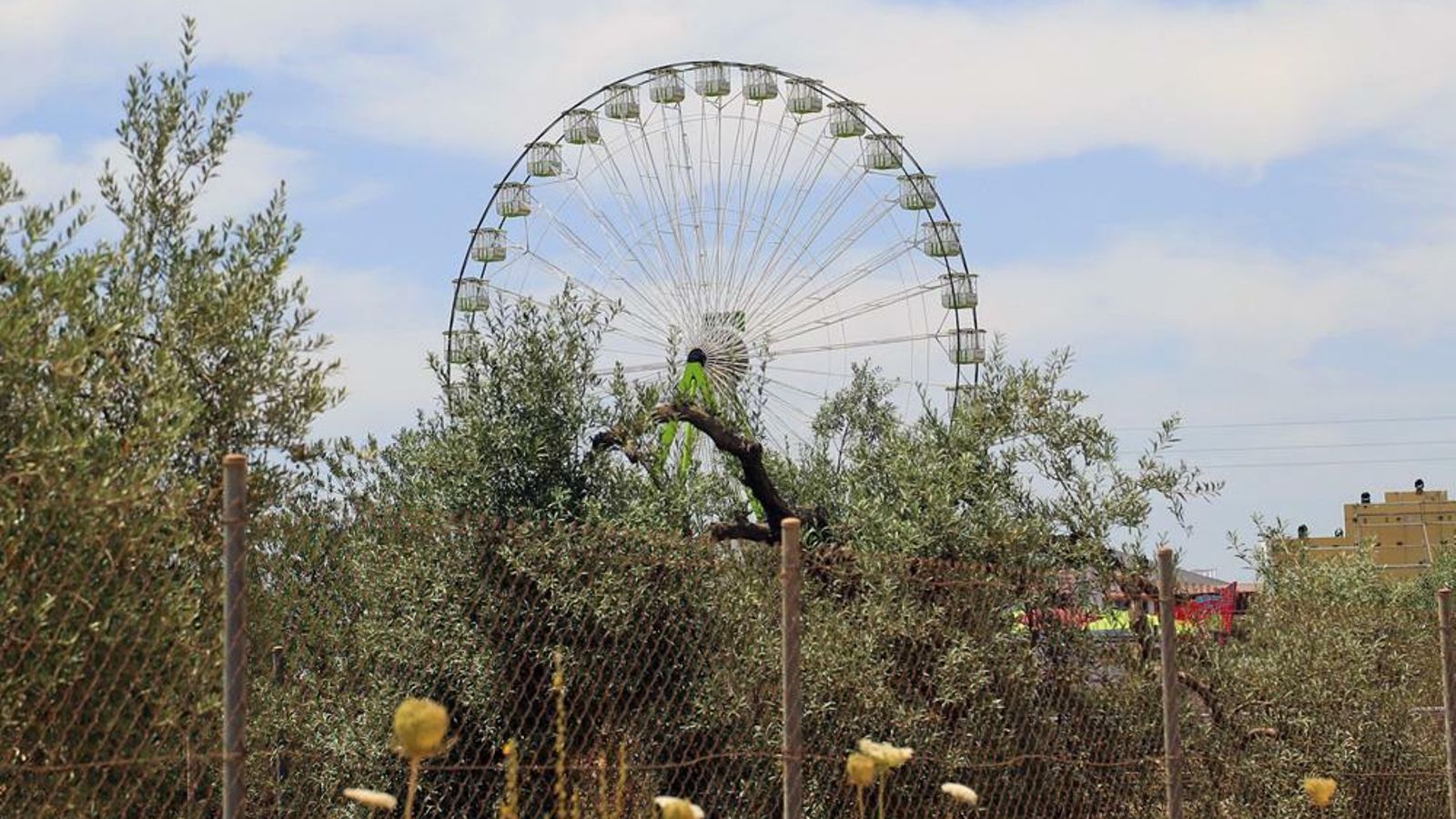 Panorámica de la finca La Alegría SR 4, con la noria gigante.
