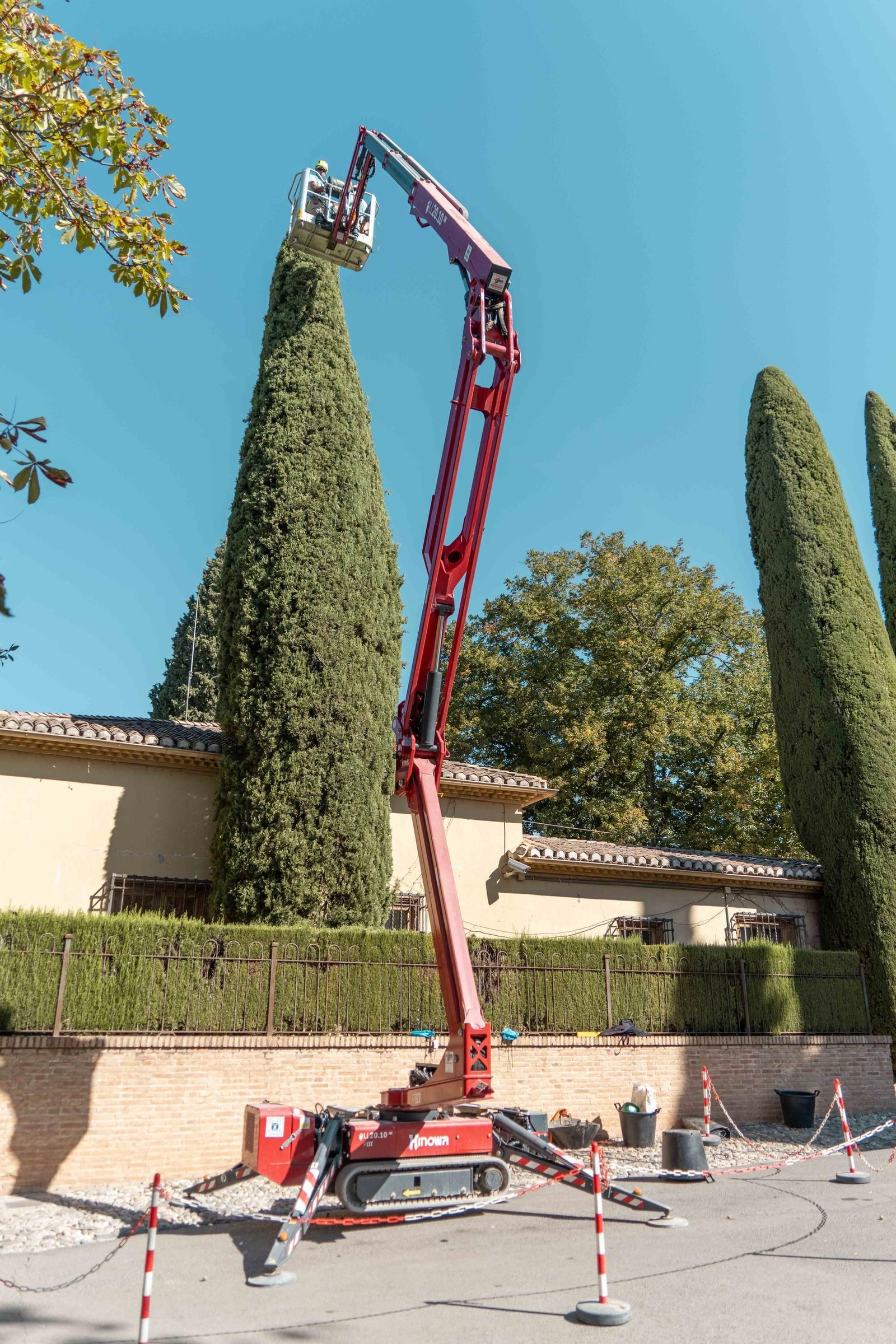 El trabajo de poda en la Alhambra, en imágenes