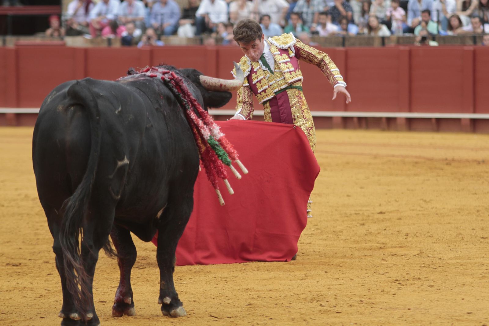 Las imágenes de la decimosexta de abono de La Maestranza