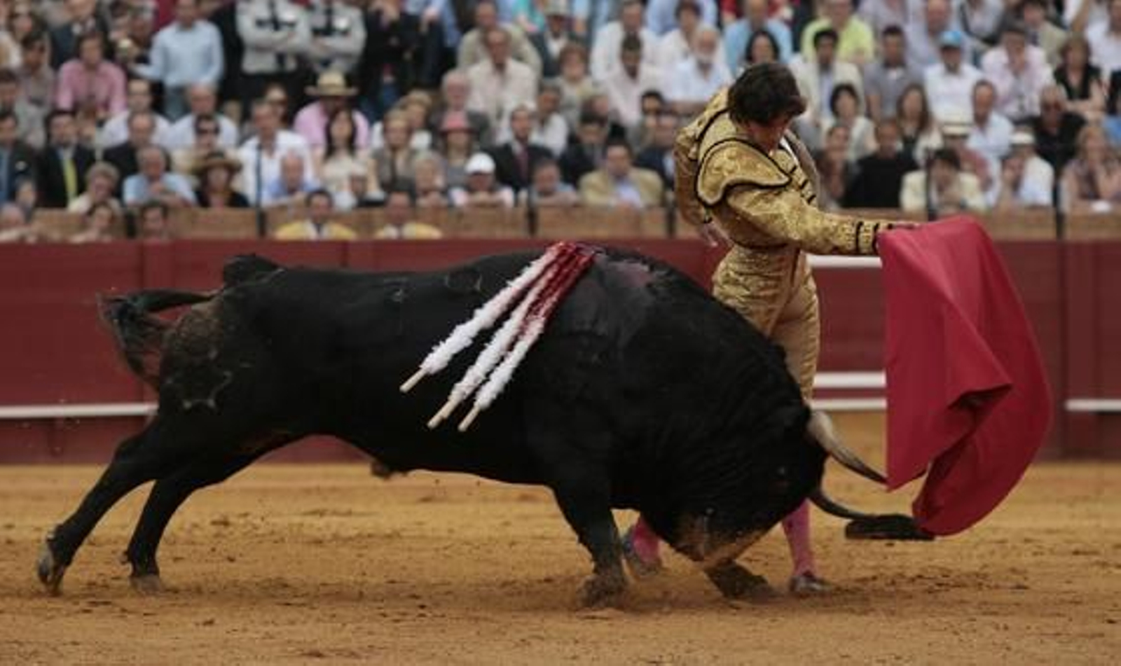 El francés Castella con el cuarto toro de la tarde.

Foto: Juan Carlos Muñoz