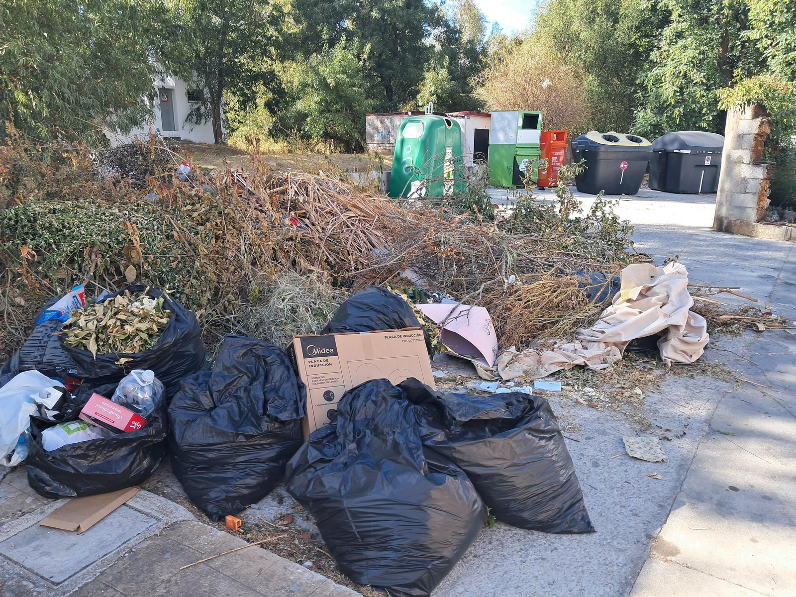 Los restos de poda secos y otras basuras en la urbanización.