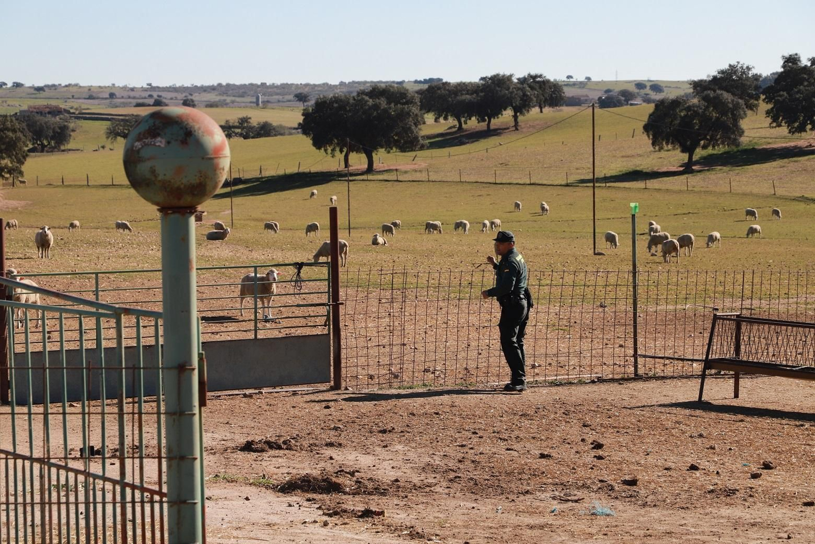 Una jornada con la Guardia Civil de Pozoblanco, en imágenes