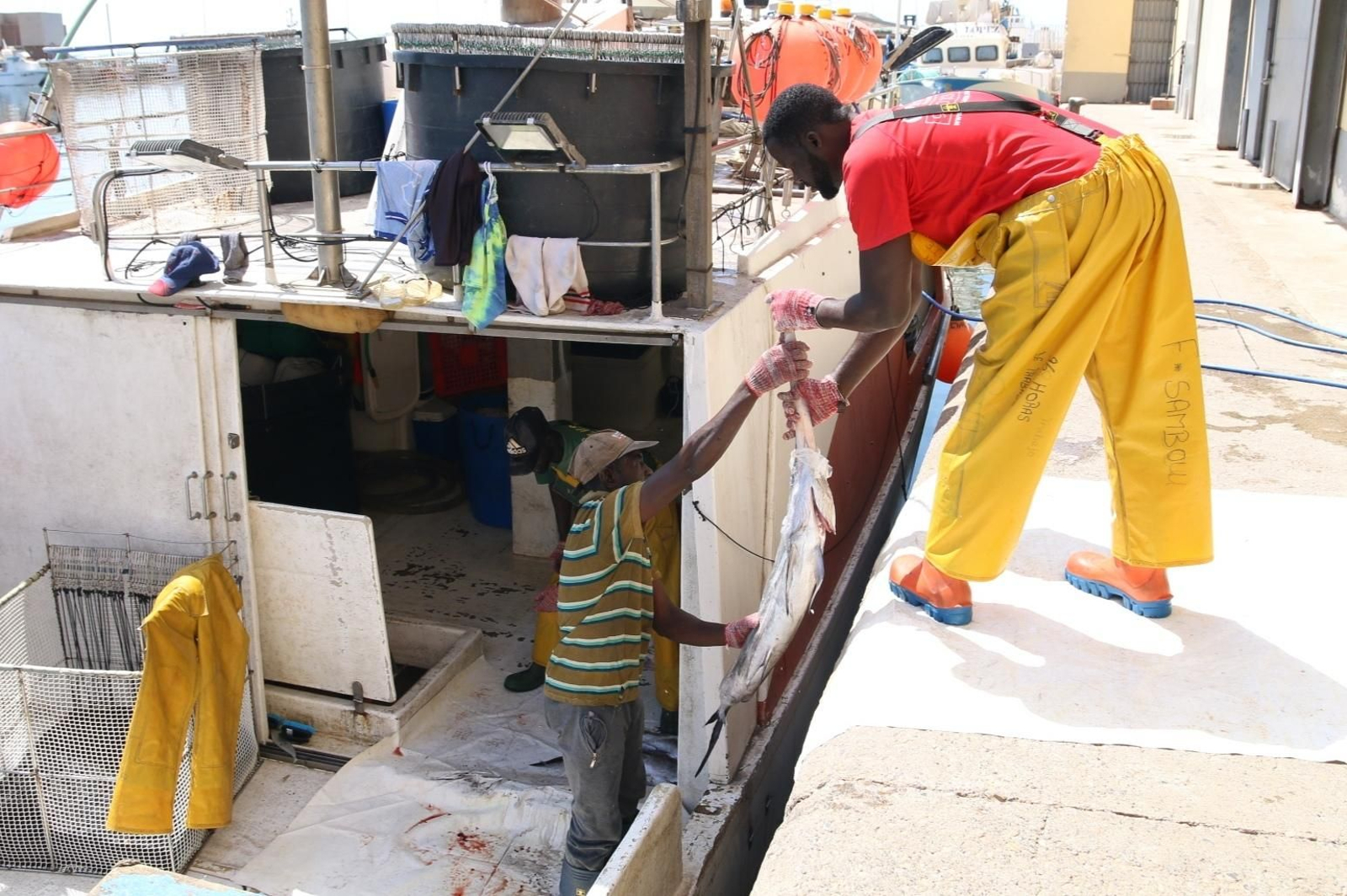 Fotogalería de la Cofradía de Pescadores de Adra