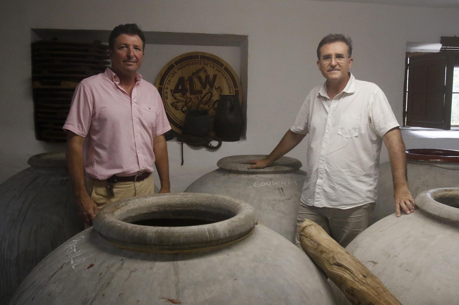 La vendimia en Montilla-Moriles, en fotografías