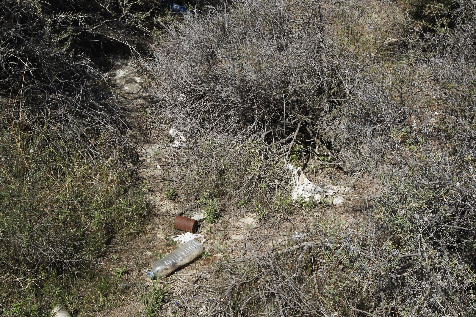 Fotogalería basura en el Desierto de Tabernas