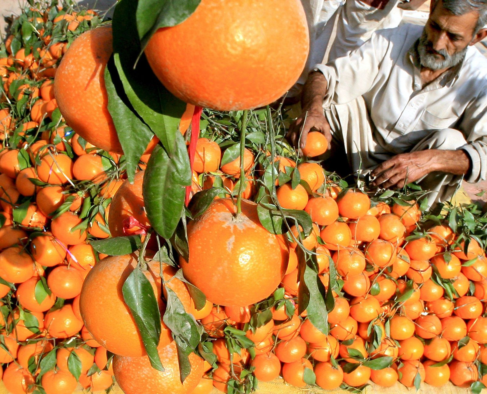 Consumir fruta, la asignatura pendiente