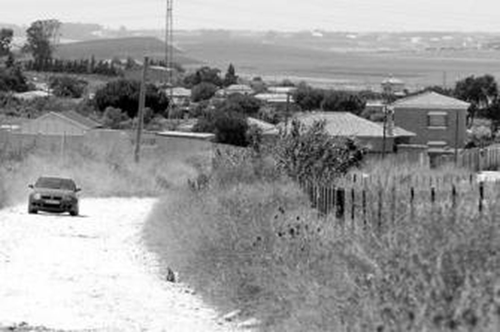 Las jornadas gastronómicas del marisco se celebrarán hasta el próximo 3 de agosto en la avenida de Bajamar.