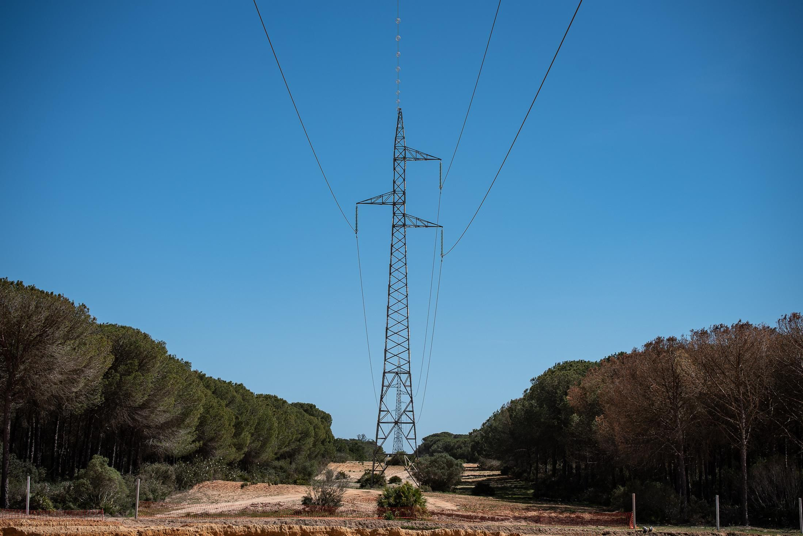 Estado de las obras del proyecto CEUS en imágenes