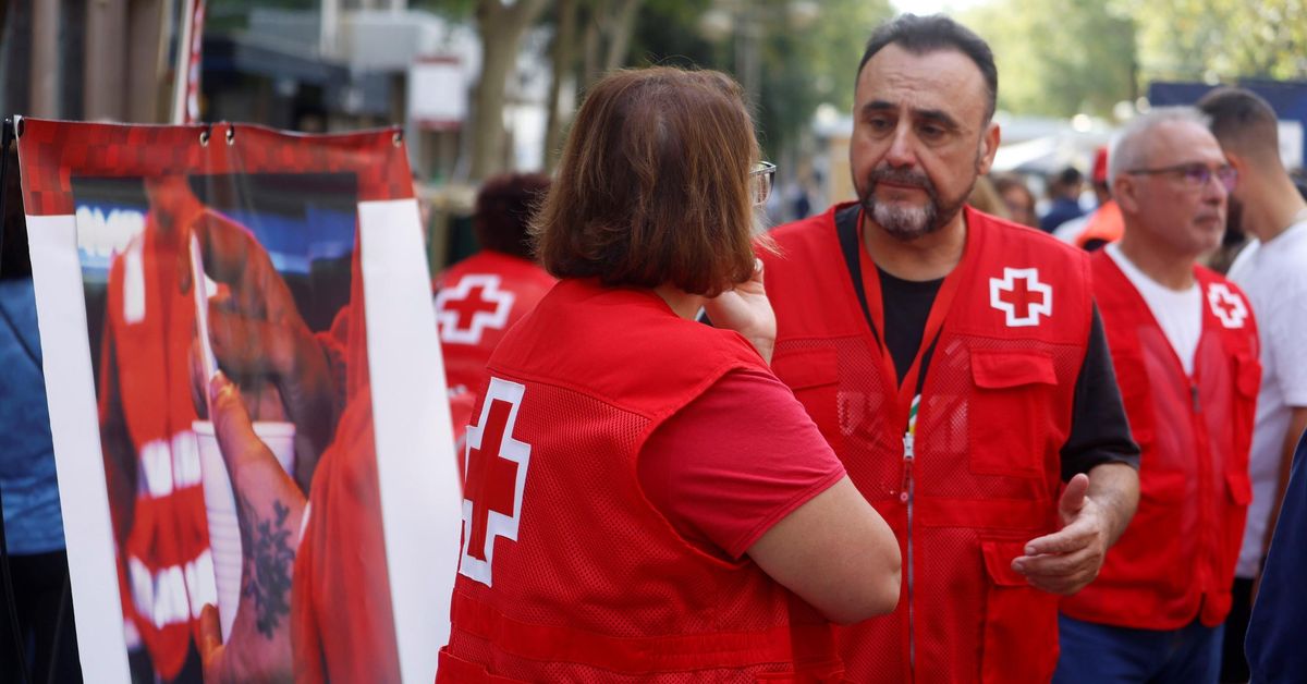 El Día de la Banderita de la Cruz Roja en Córdoba, en imágenes