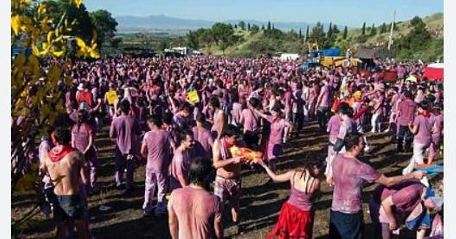 Batalla del vino