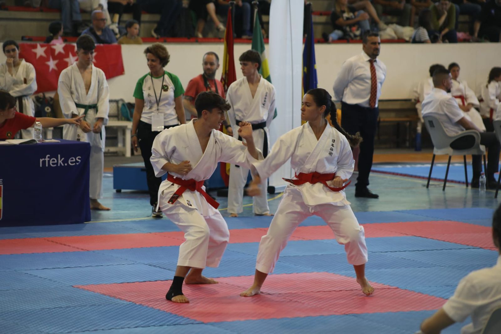 Las mejores imágenes de la Escuela de Nihon Tai-Jitsu del Club Nazaret en el Campeonato de España