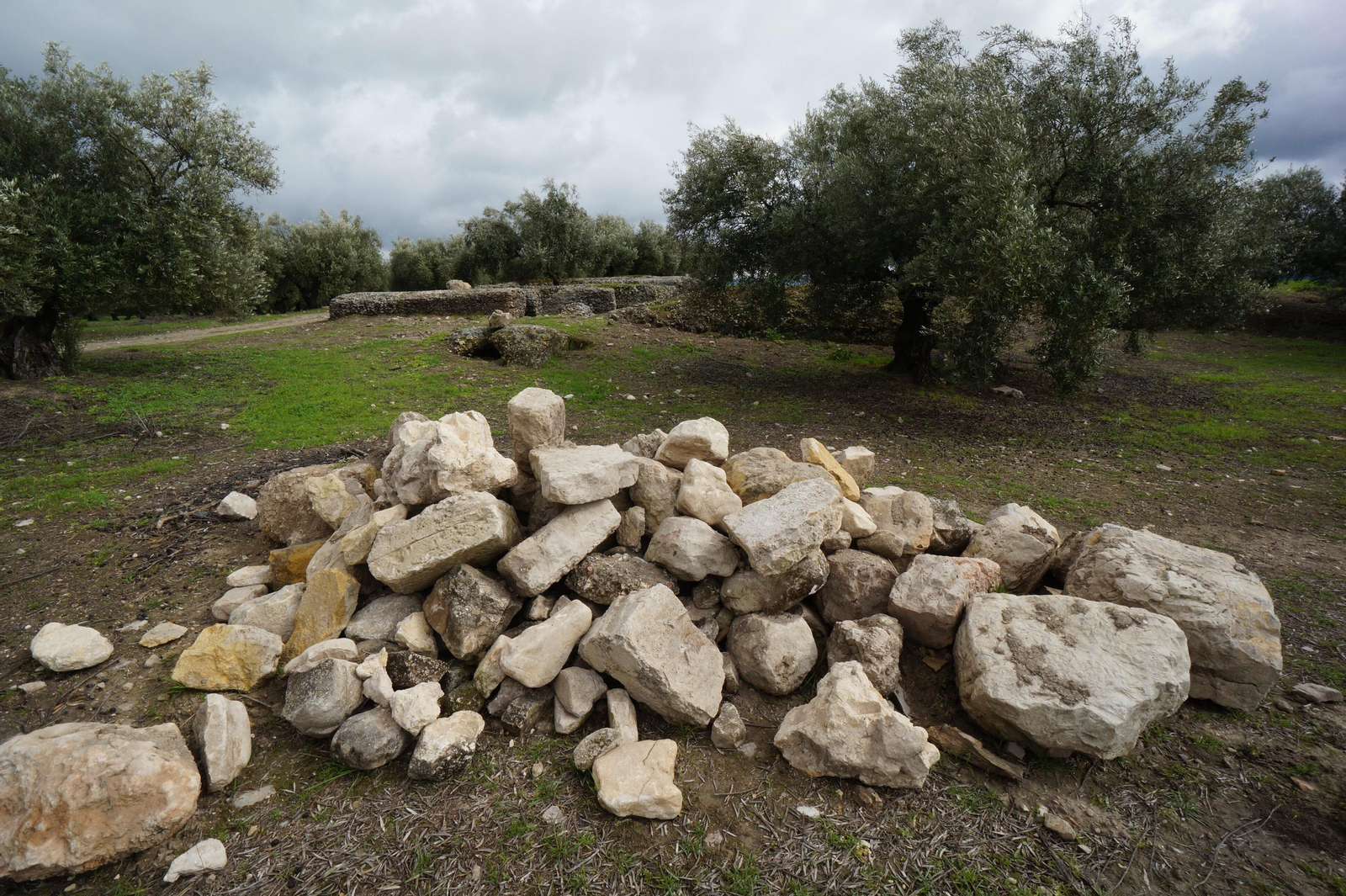 Los silos romanos del Carchena en Castro del Río, en fotografías