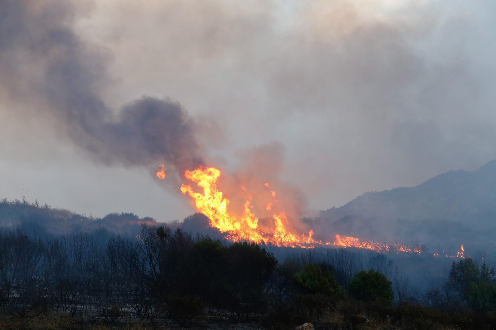 El incendio de pastos del pasado viernes en Algeciras visto desde la A-7. El incendio de pastos del pasado viernes en Algeciras visto desde la A-7.