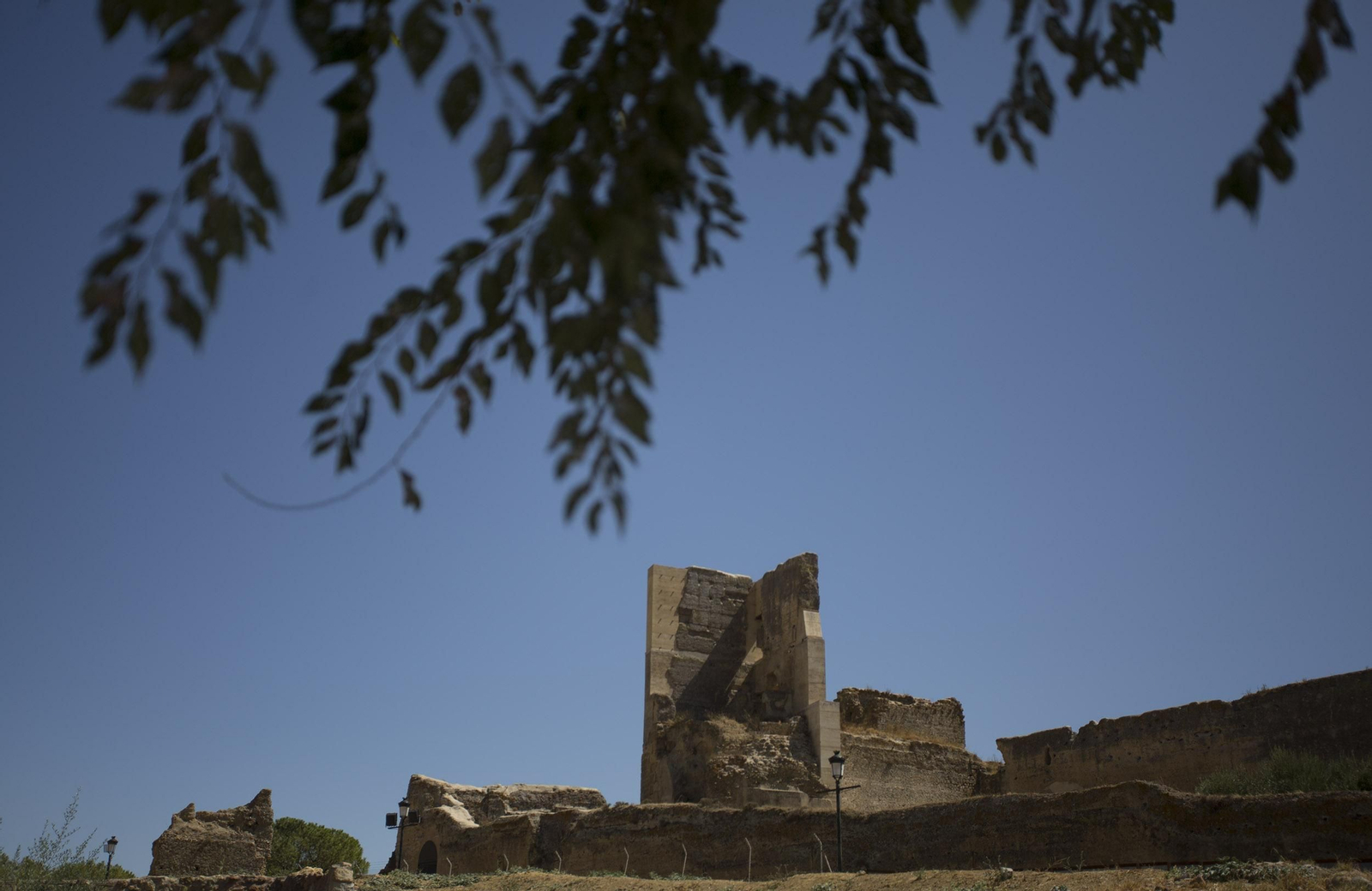 Carmona, en imágenes