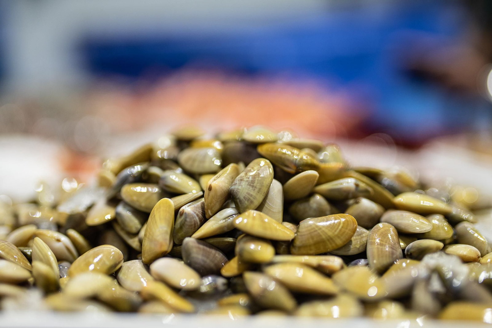 El marisco de Huelva, una joya gastronómica que enamora