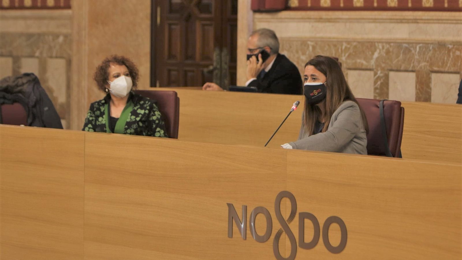 La delegada de Hacienda Sonia Gaya en su intervención en el Pleno.