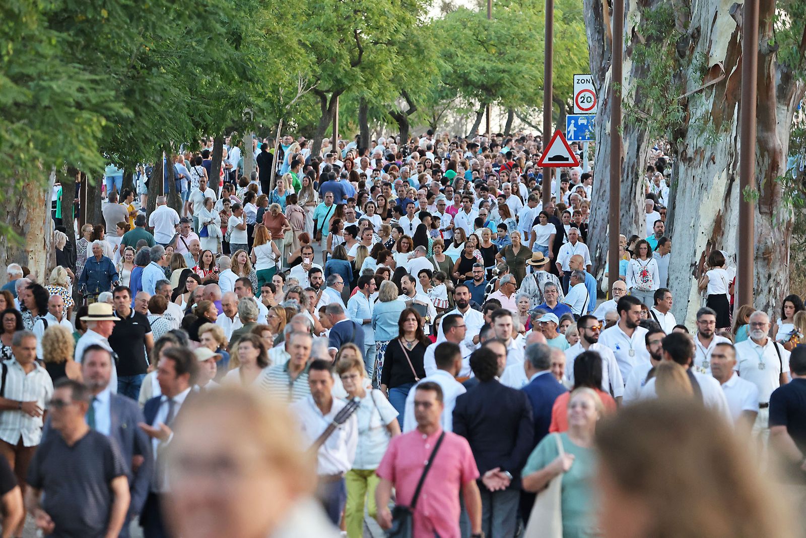 La bajada de la Virgen de La Cinta en imágenes