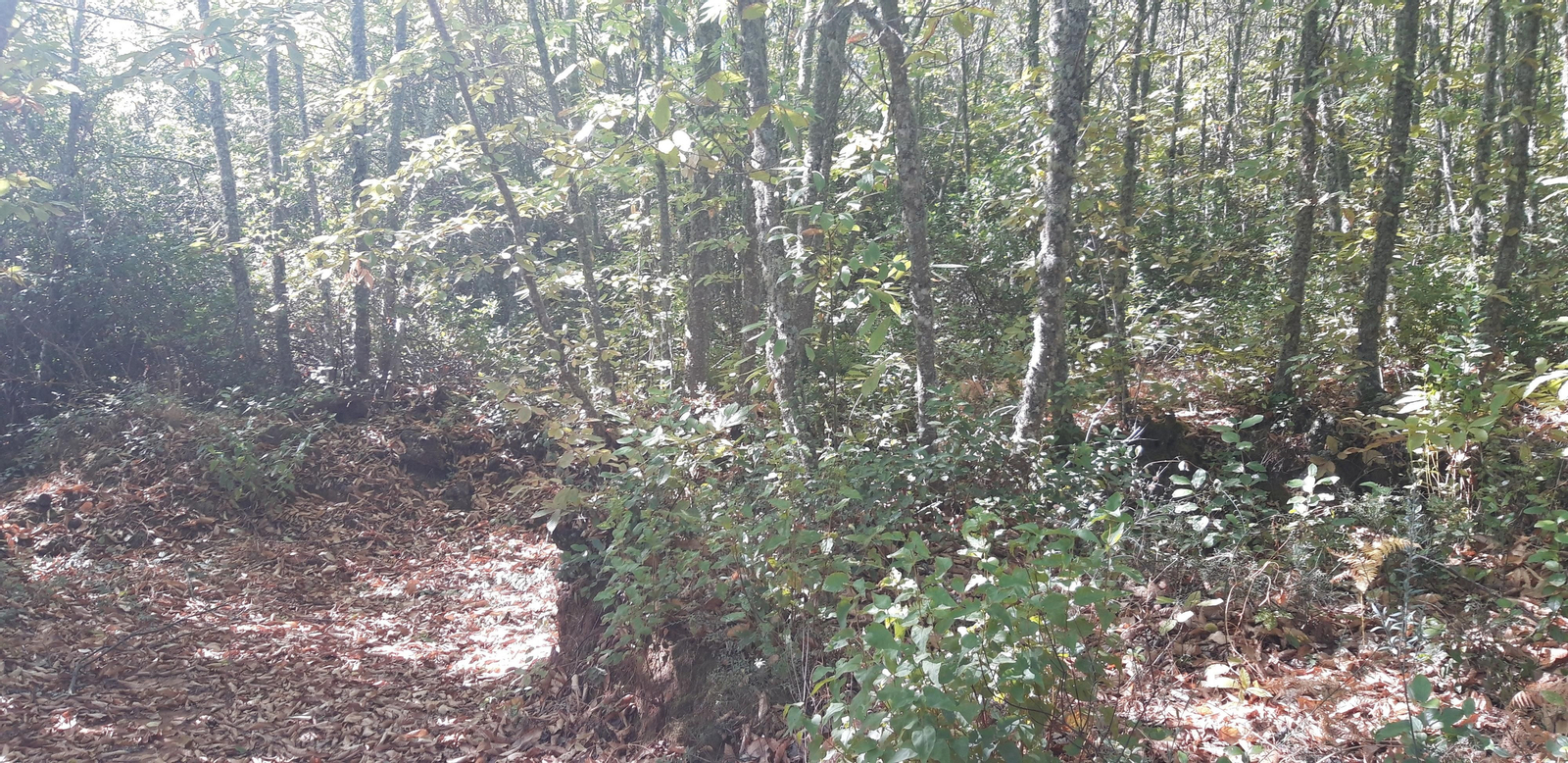 Las fotos de la Circular del Campovid