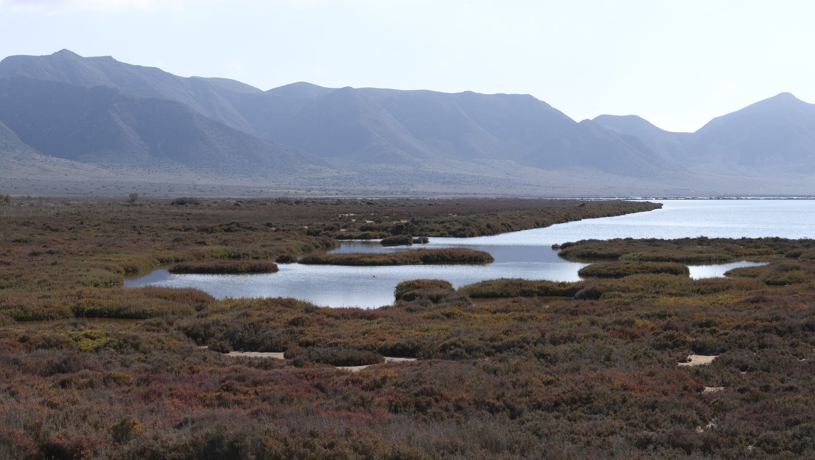 Imágenes de las Salinas de Cabo de Gata con agua otra vez