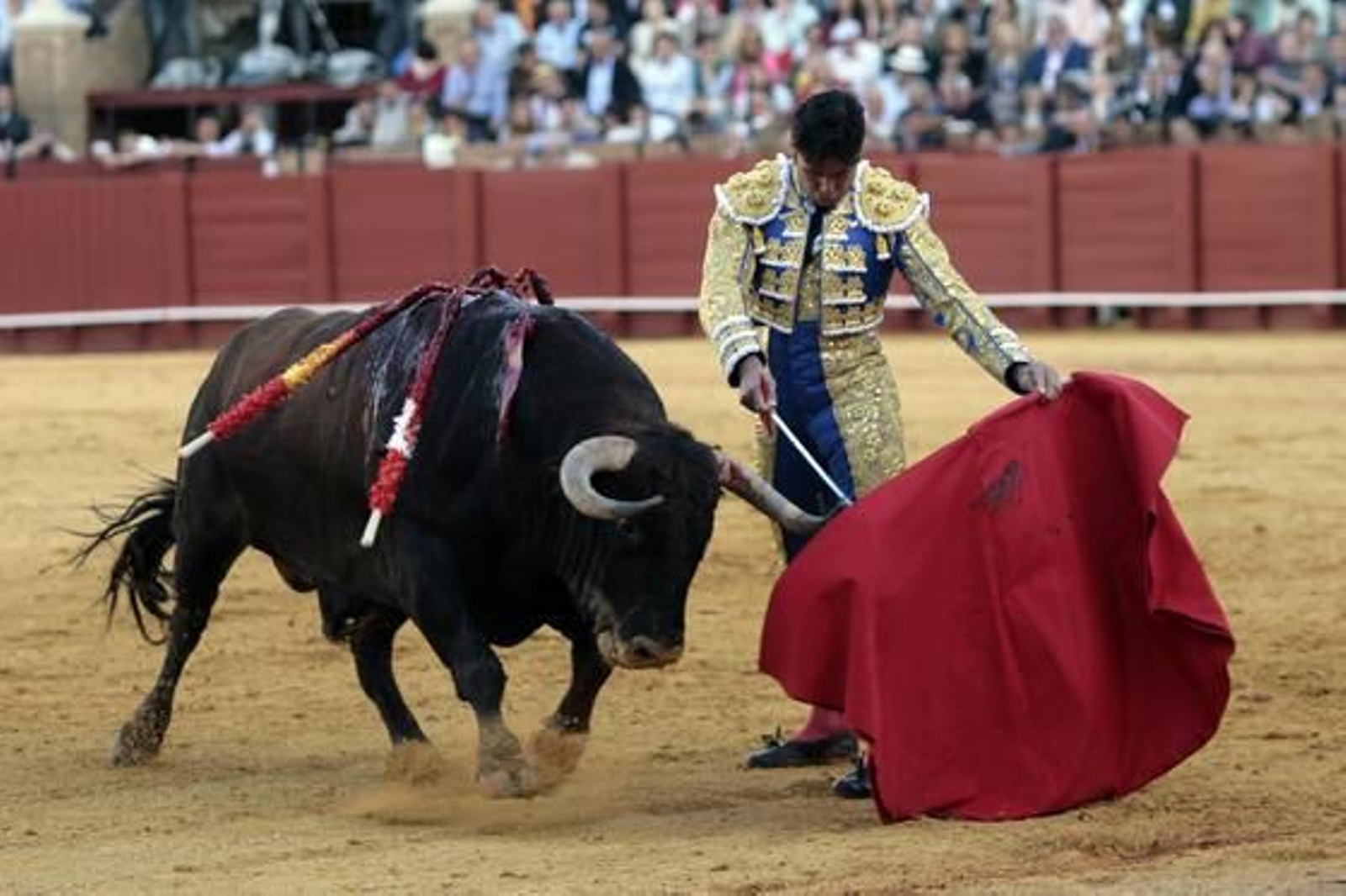 Foto: Juan Carlos Muñoz