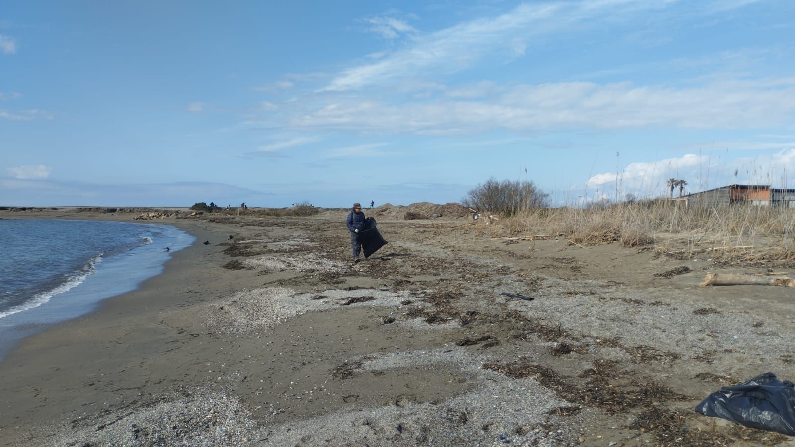 Una veintena de voluntarios limpian playas de El Ejido para retirar 400 kilos de basura
