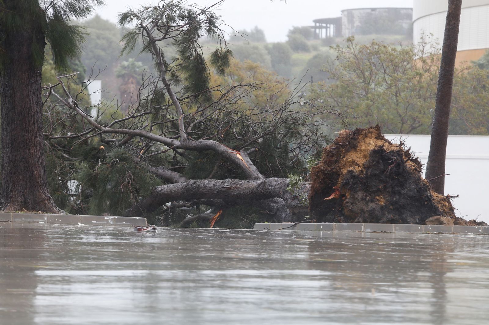 Fotos del temporal de lluvia y viento por la borrasca Kristin en el Campo de Gibraltar