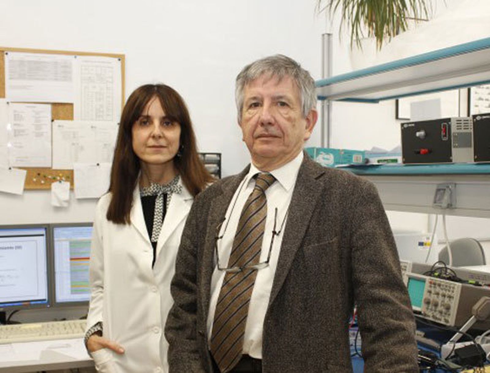 Investigadores de la UPO demuestran un mecanismo neuronal capaz de eliminar recuerdos