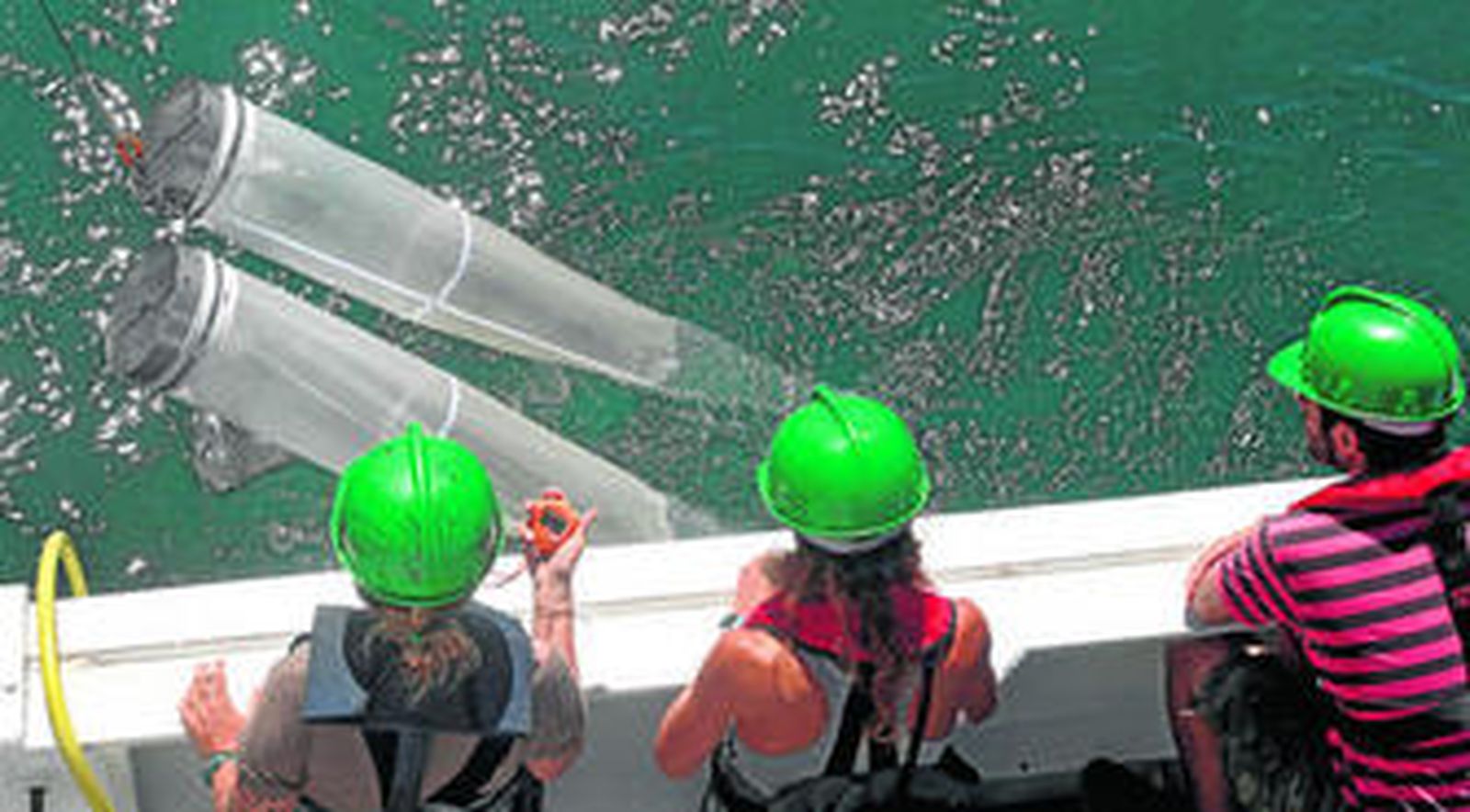 Los investigadores del IEO controlan una red Bongo 40, que recoge las muestras mediante su arrastre.