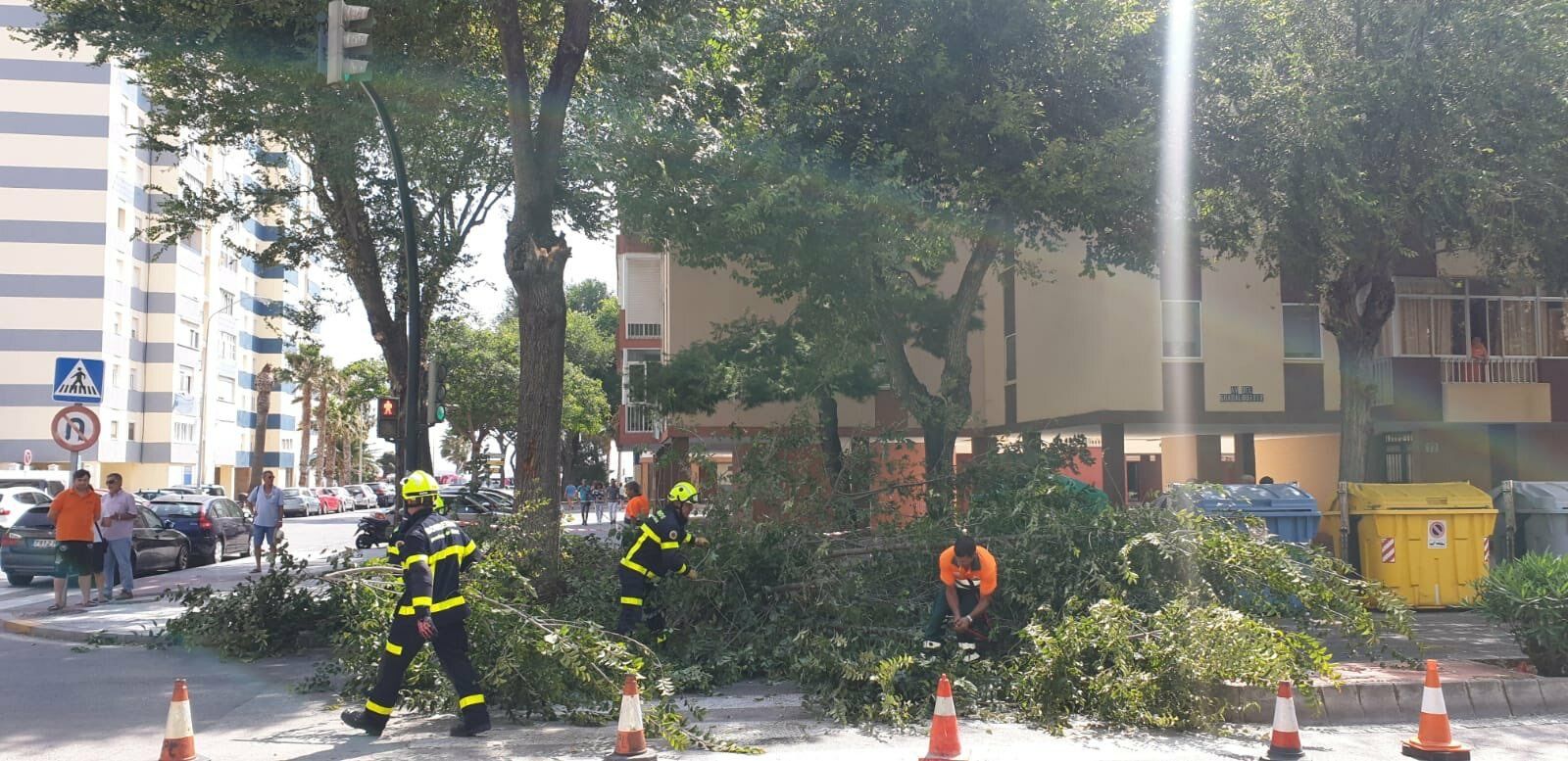 Actuación de los bomberos por la caída de un árbol de grandes dimensiones en la Avenida Guadalquivir.