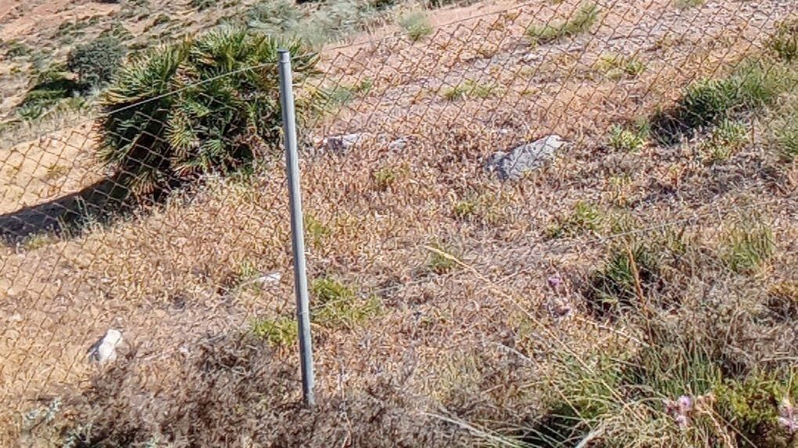 Zona en la que una batida vecinal encontró el supuesto pico