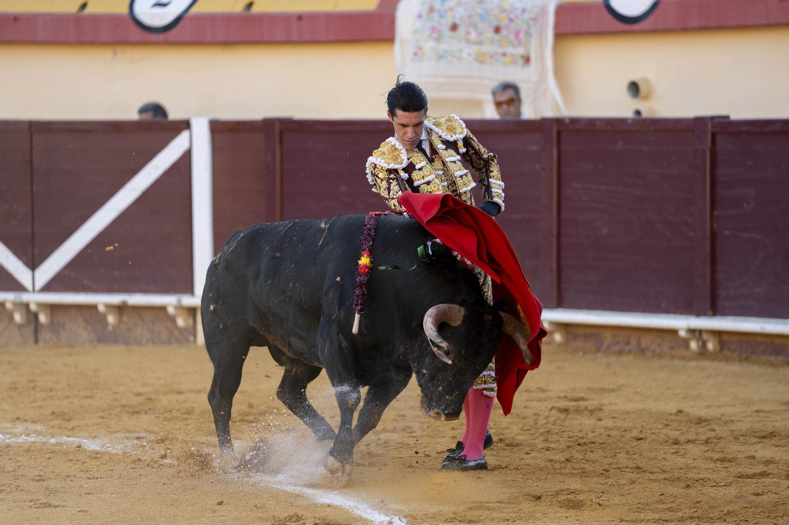 Las imágenes de los toros en Vera