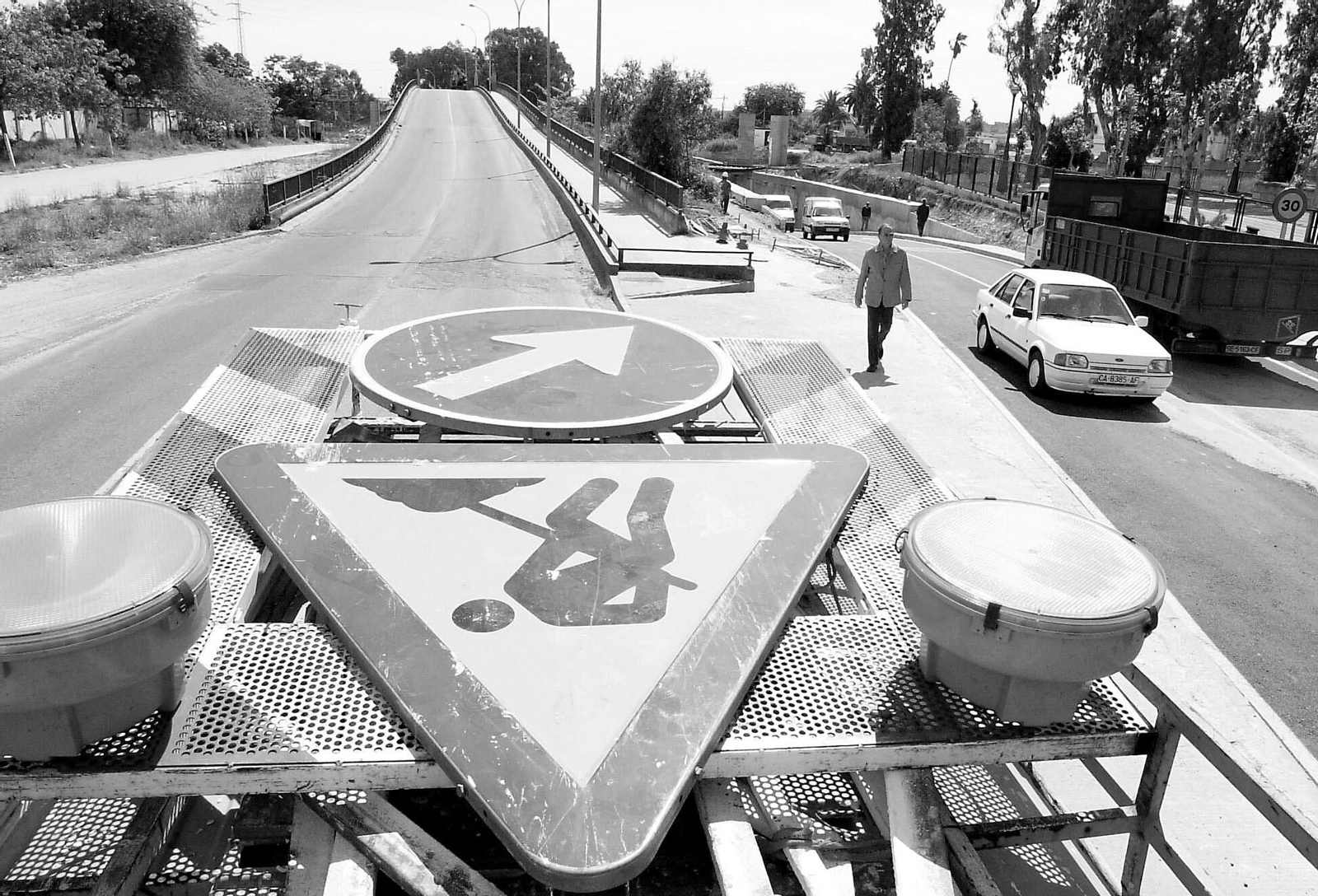 Puente de Sementales Puente de Sementales