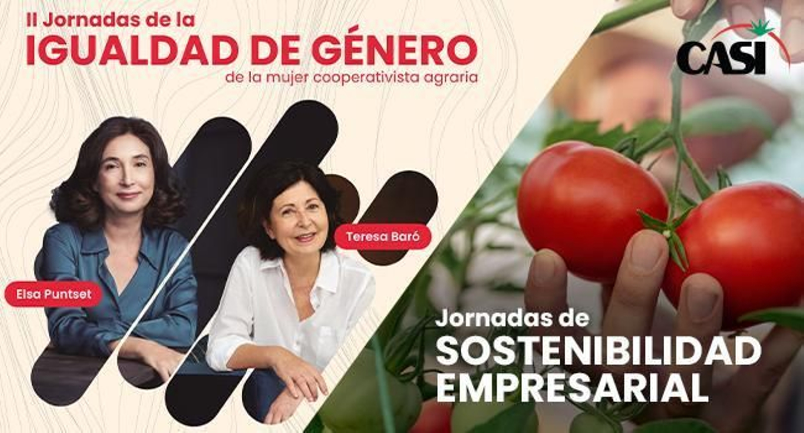 Cartel de las II Jornadas de Igualdad de Género. Cartel de las II Jornadas de Igualdad de Género.