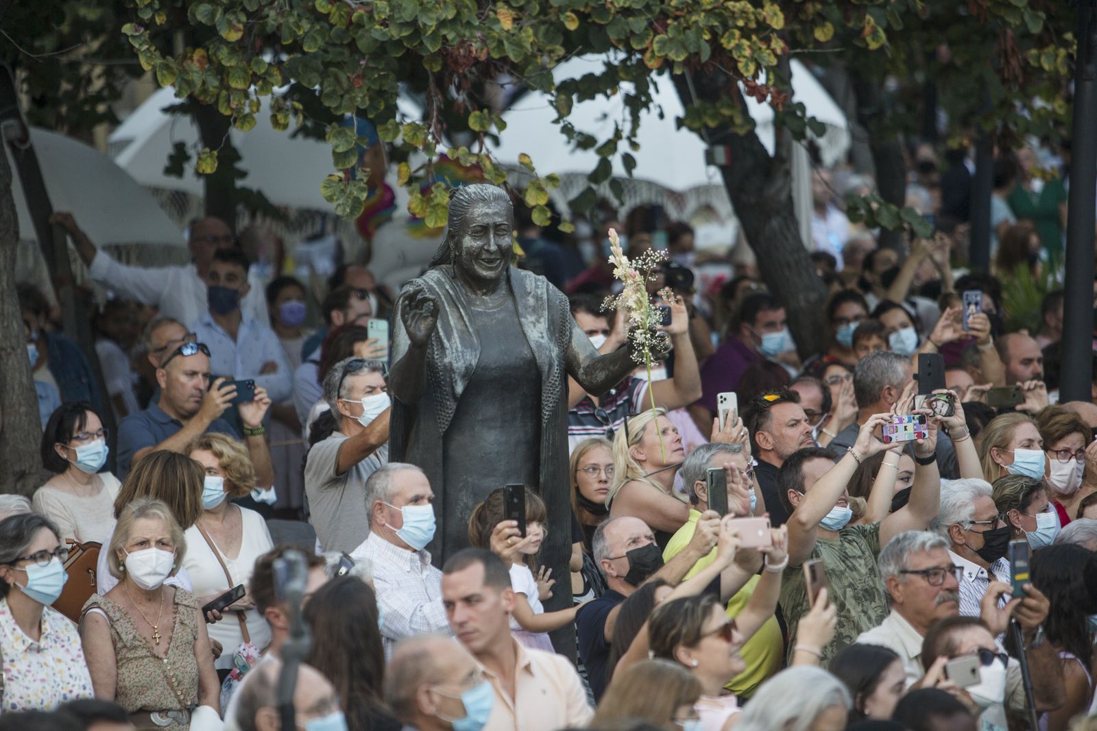 Las imágenes de la procesión de la Virgen del Rosario