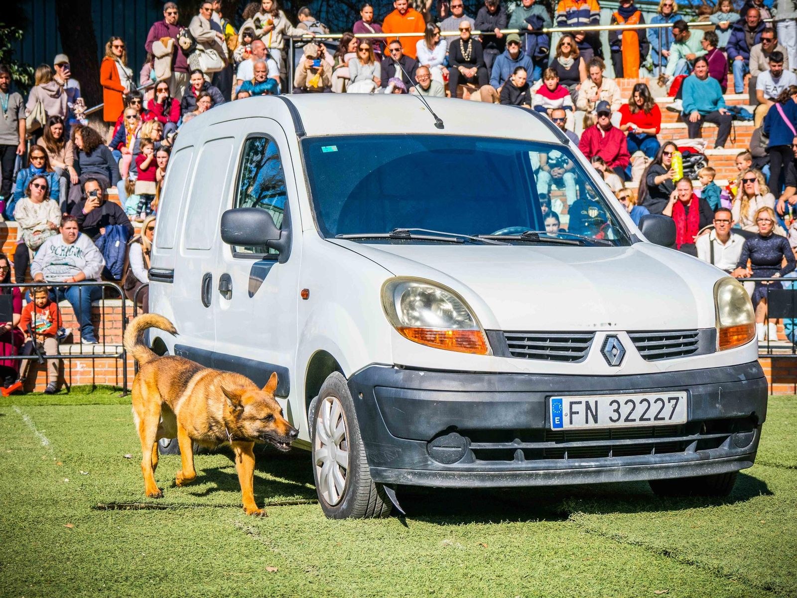 Las imágenes de San Antón 2025 en San Fernando