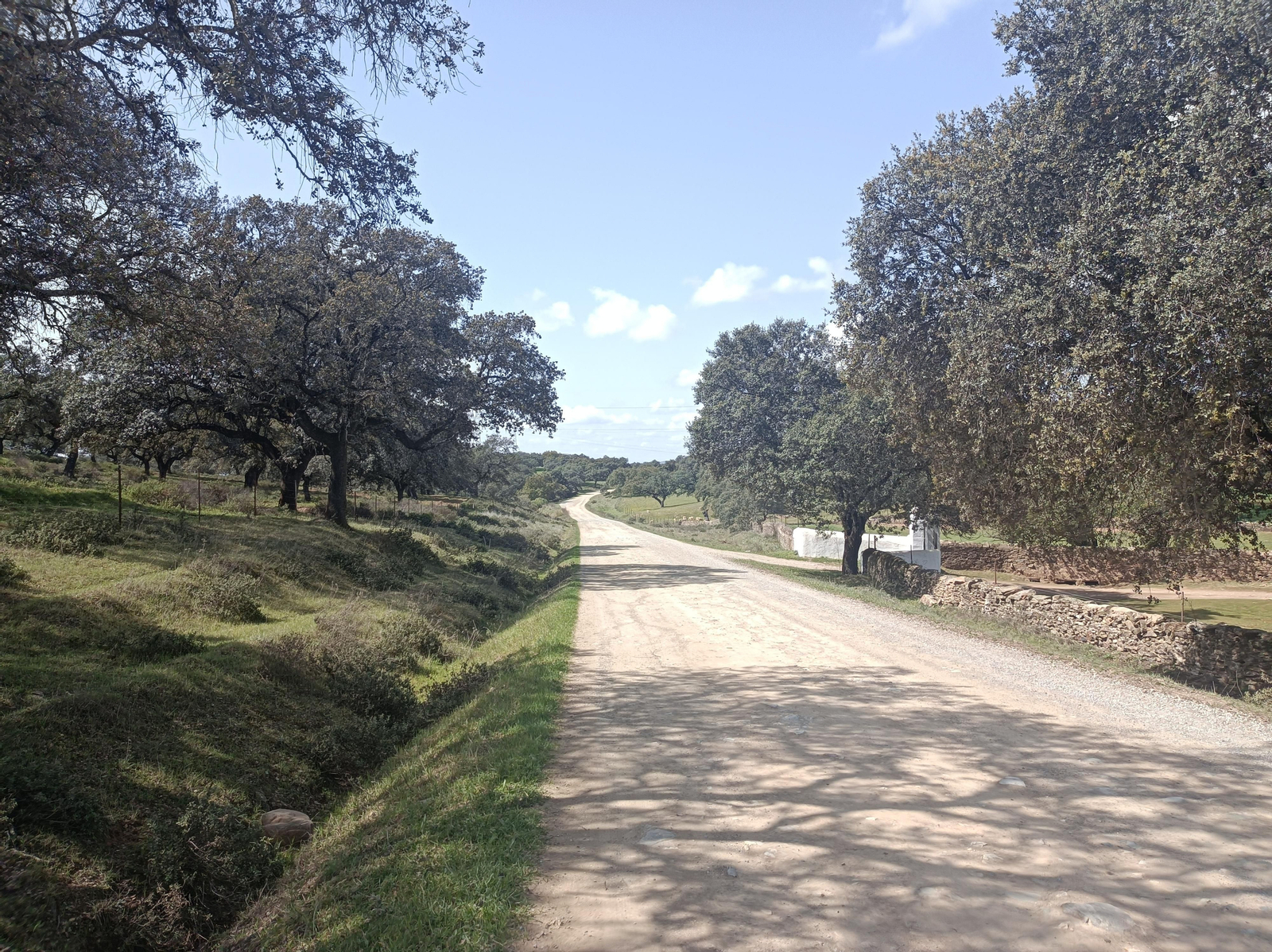Fotos de la georruta de La Lobera