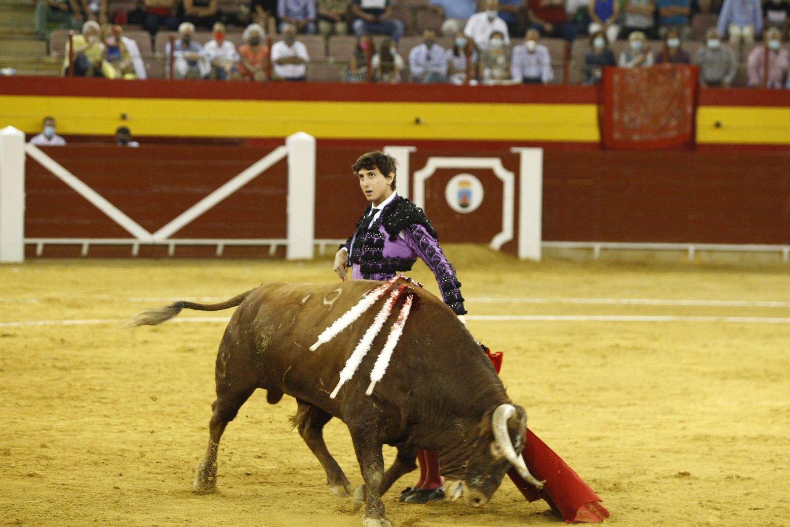 Fotogalería corrida de toros. Cayetano Rivera, Paco Ureña y Roca Rey. Roquetas de Mar.