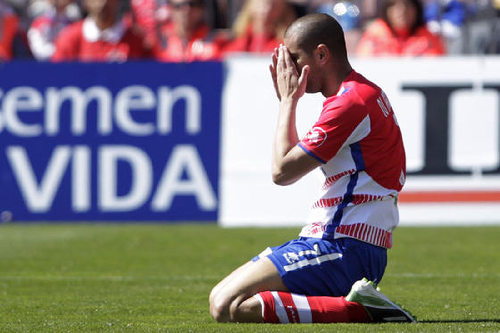 Foto: PEPE VILLOSLADA